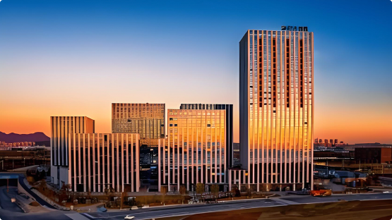 大连德泰数据资产入表